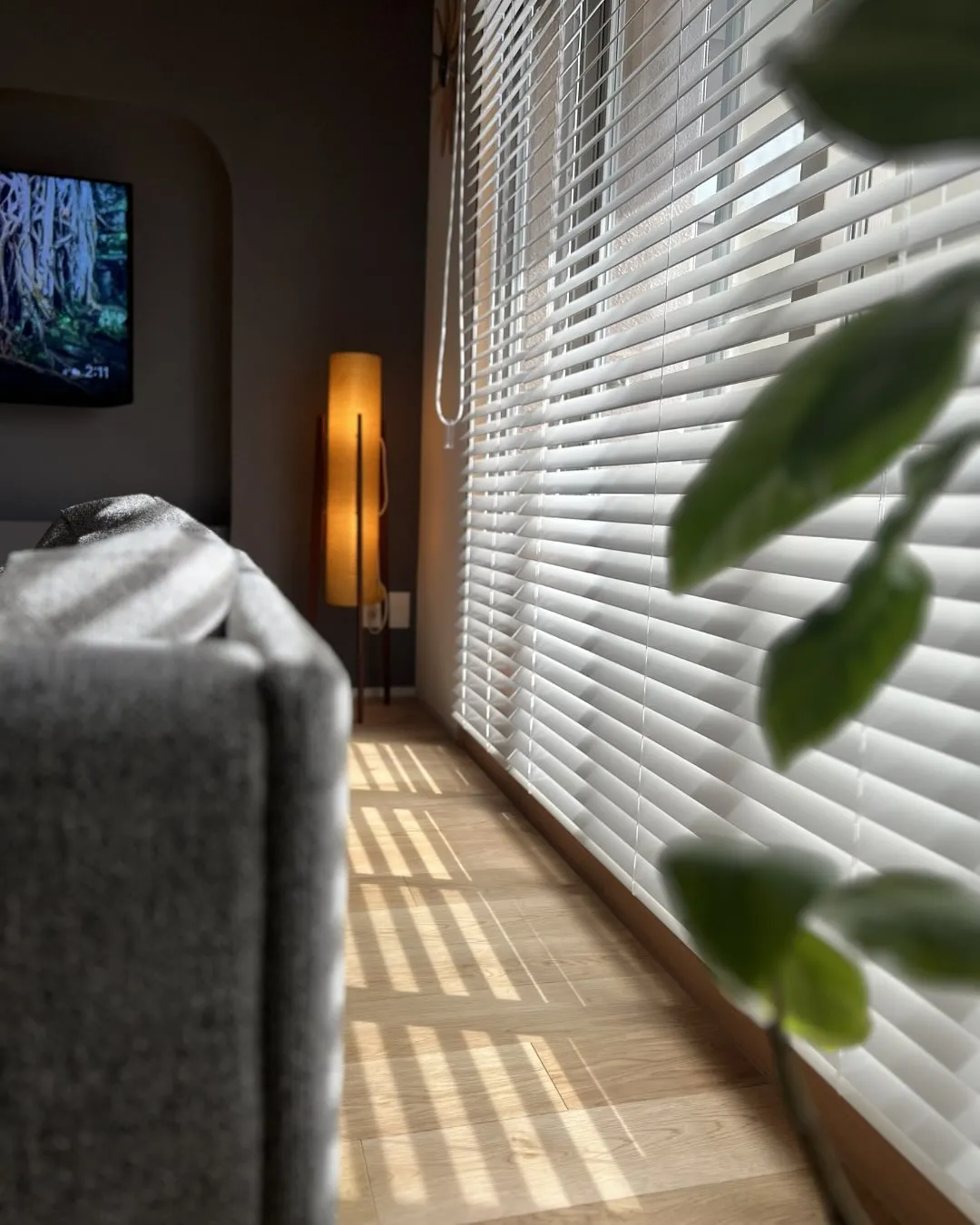 【おうちカフェが楽しめる】