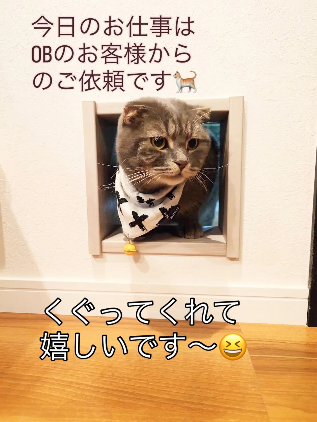 猫の出入り口