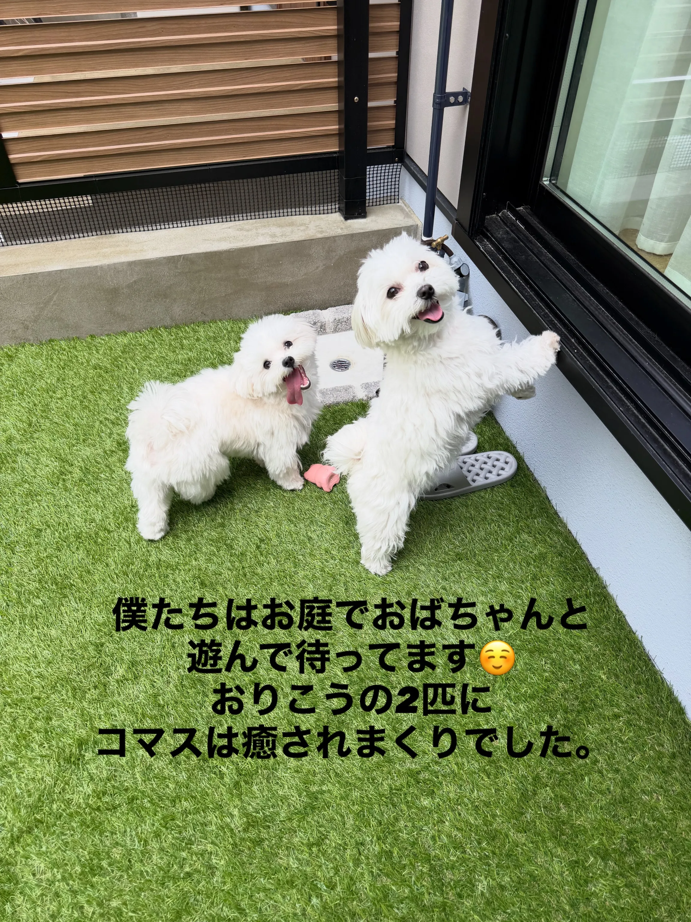 ✨OB様見学会✨