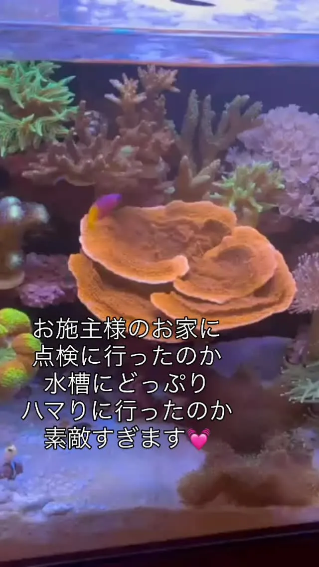 伊丹市注文住宅お家の点検